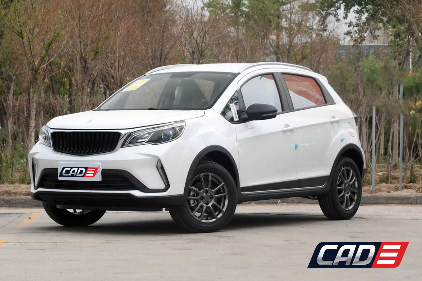 Dynamic Content Image